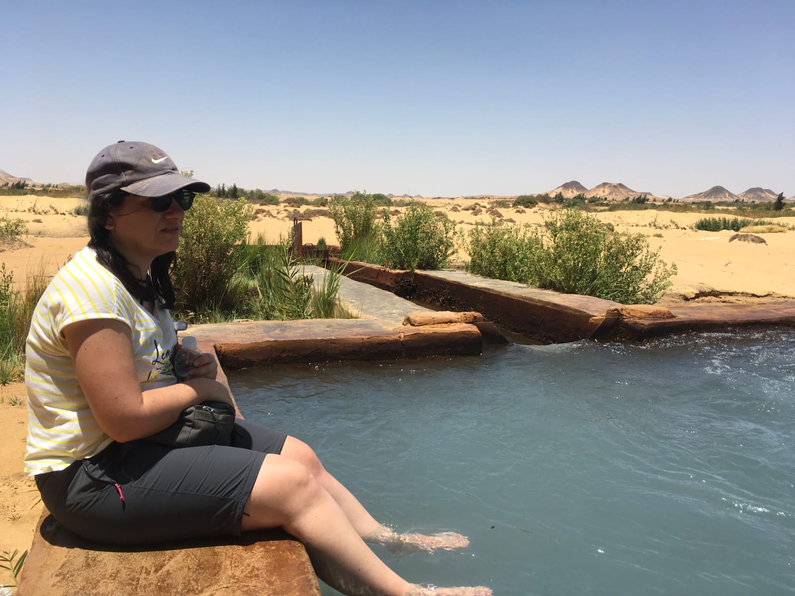 Escursione al wadi el Hitan valle delle balene da Port Said